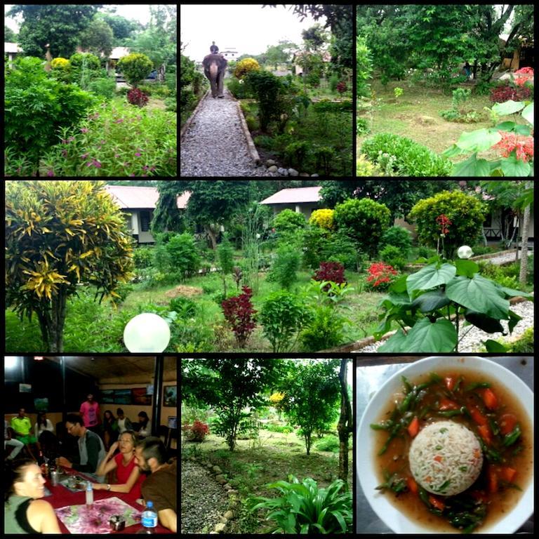 סאורהה Chitwan Safari Camp & Lodge מראה חיצוני תמונה