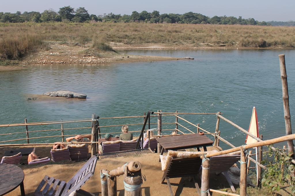 סאורהה Chitwan Safari Camp & Lodge מראה חיצוני תמונה