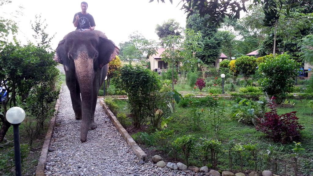סאורהה Chitwan Safari Camp & Lodge מראה חיצוני תמונה