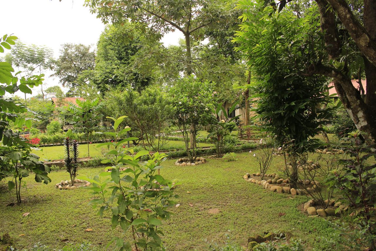 סאורהה Chitwan Safari Camp & Lodge מראה חיצוני תמונה