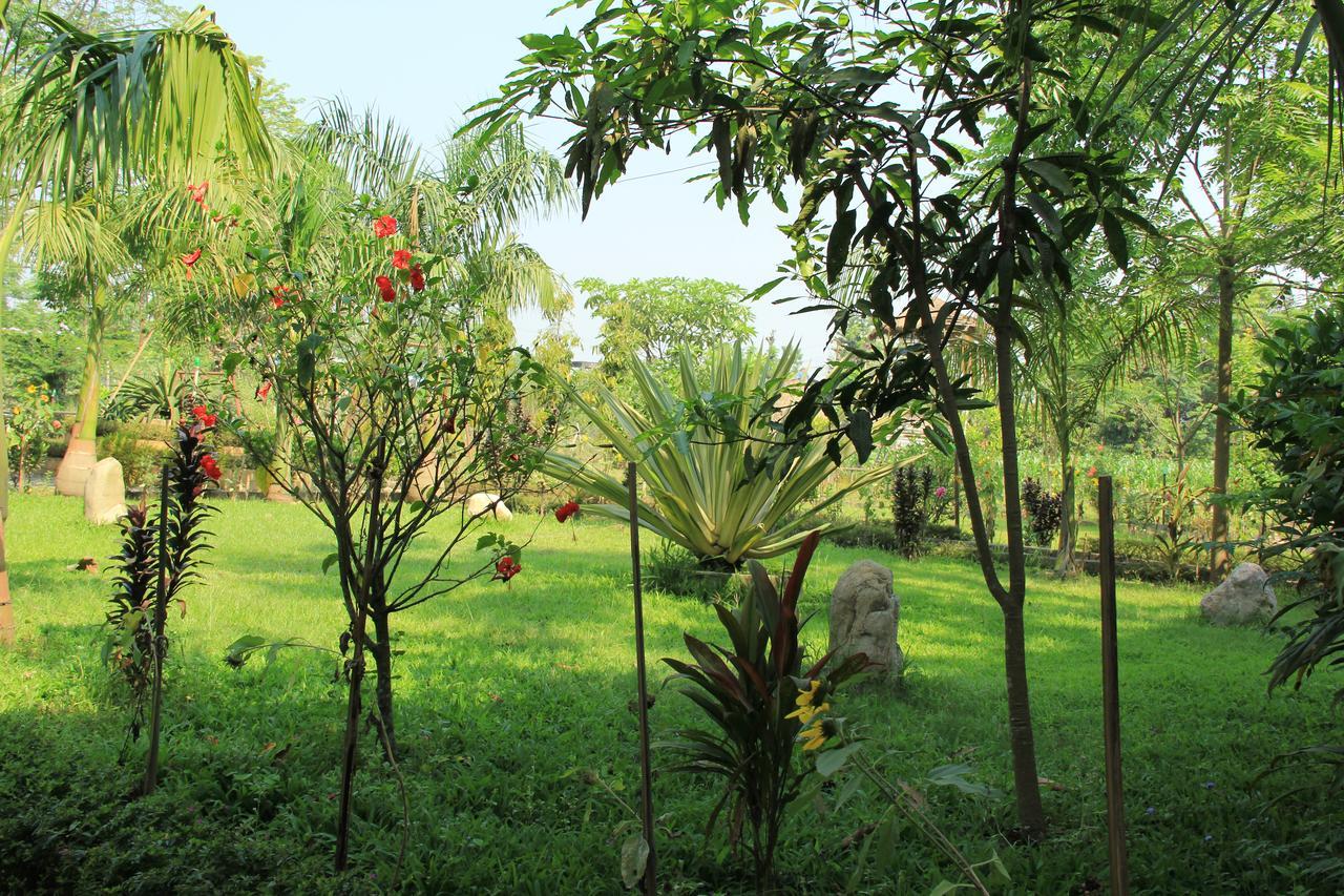סאורהה Chitwan Safari Camp & Lodge מראה חיצוני תמונה