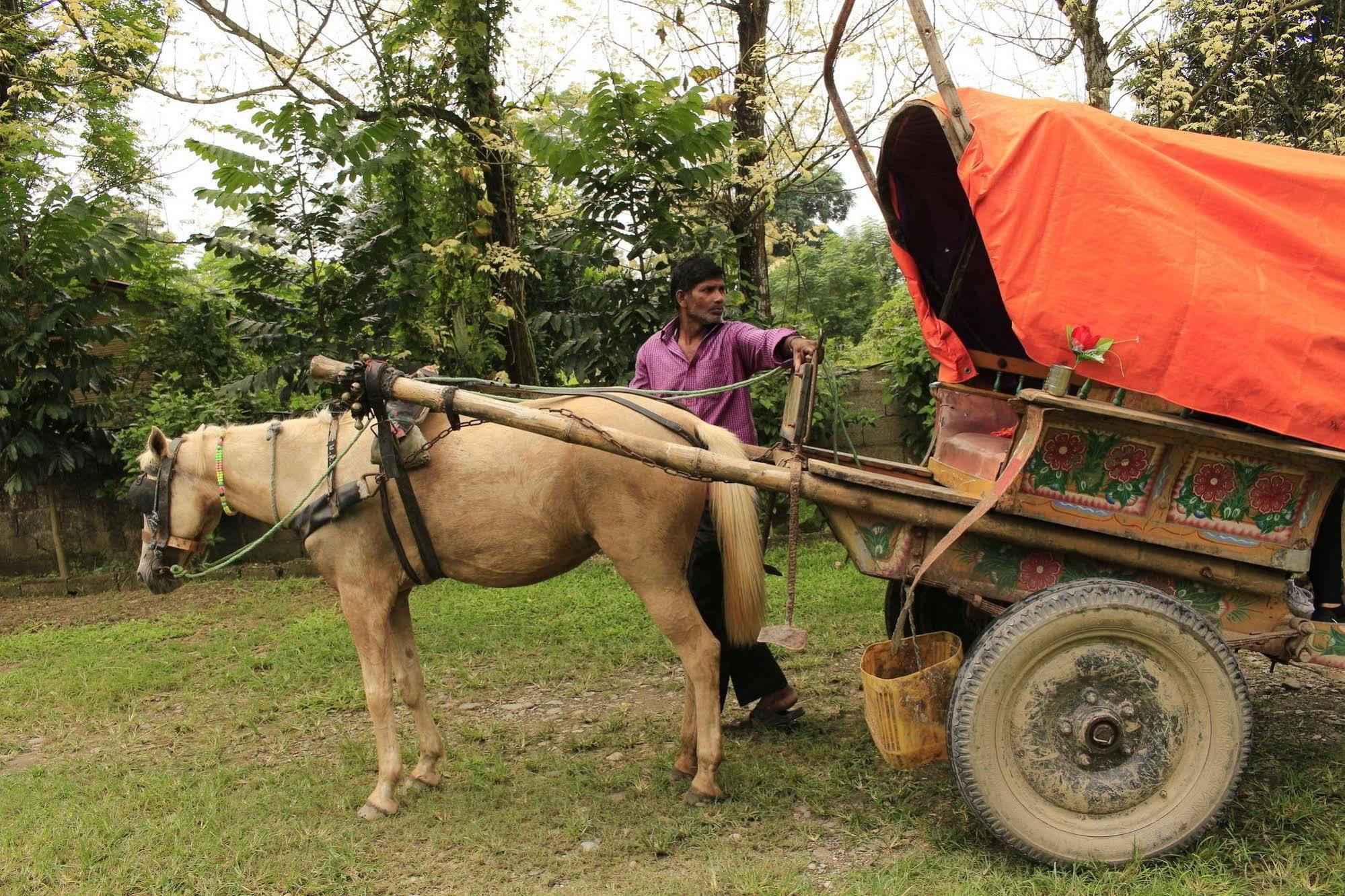 סאורהה Chitwan Safari Camp & Lodge מראה חיצוני תמונה